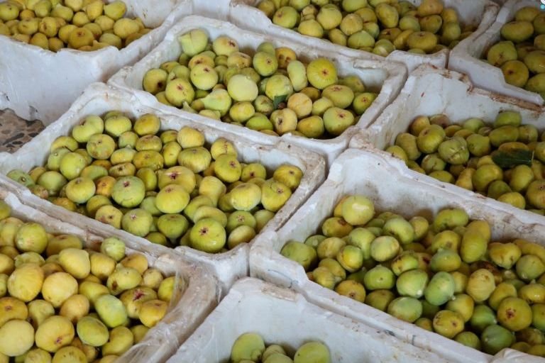 Homs : La récolte des figues, un enjeu économique et social