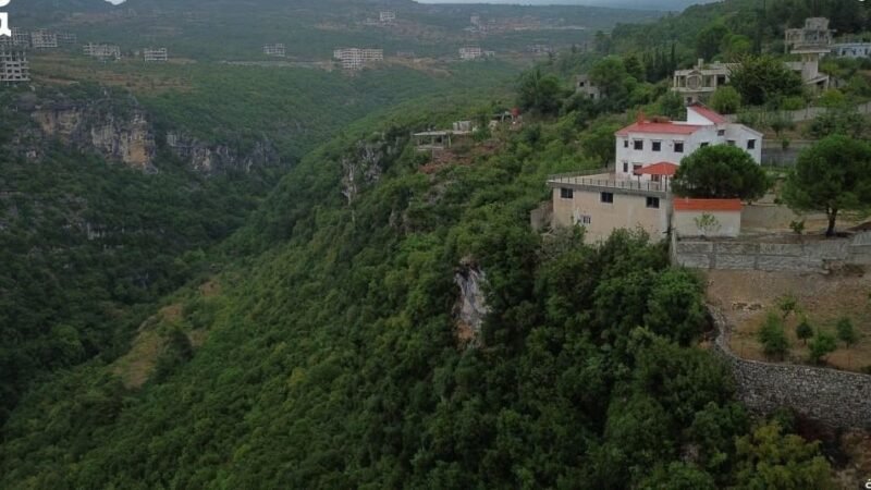 Des images aériennes révèlent la splendeur de la nature à Lattaquié après les pluies