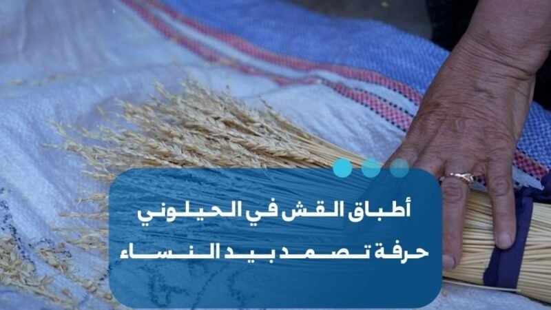 Vannerie : un héritage féminin qui perdure dans la région de Masyaf