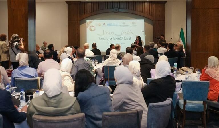 Damas : un atelier pour élaborer un plan national de réduction des césariennes