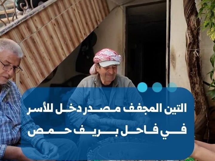 Figues séchées : une ressource économique et vivrière à Fakhel