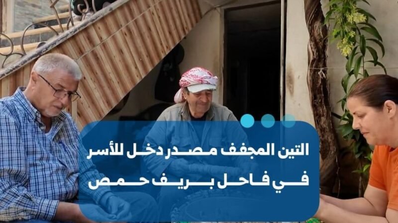 Figues séchées : une ressource économique et vivrière à Fakhel