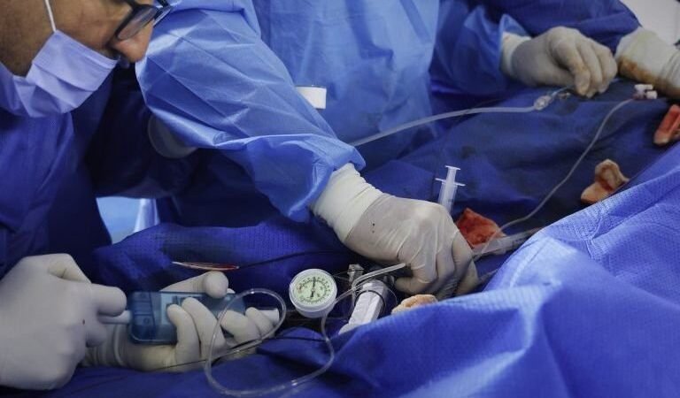L&rsquo;initiative humanitaire émiratie « Petits Cœurs » à Damas
