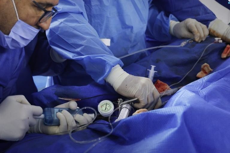 L’initiative humanitaire émiratie « Petits Cœurs » à Damas