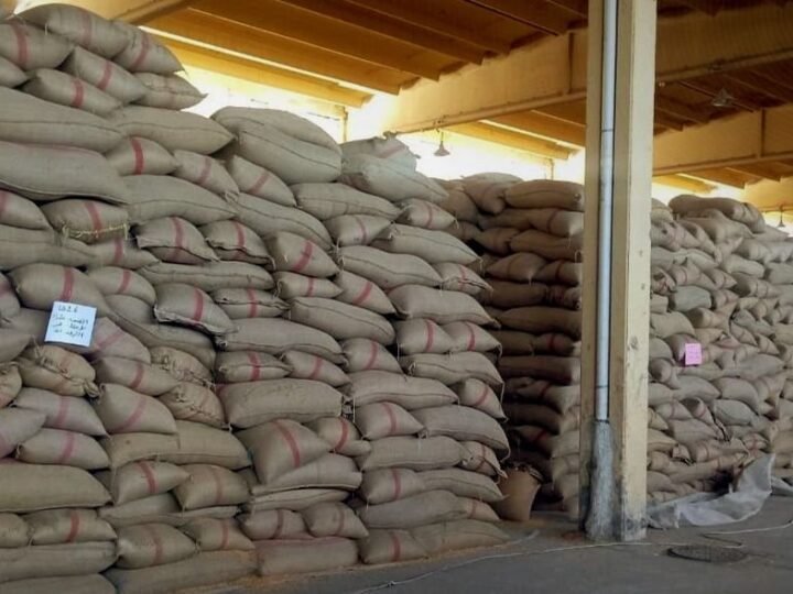 Deraa : 10 000 tonnes de blé collectées pour la saison actuelle