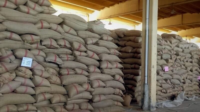 Deraa : 10 000 tonnes de blé collectées pour la saison actuelle
