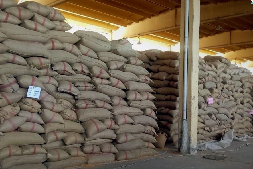 Deraa : 10 000 tonnes de blé collectées pour la saison actuelle