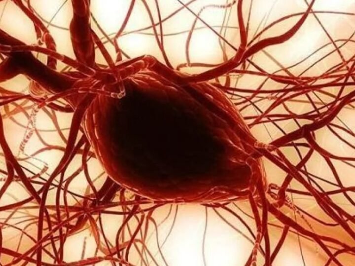 Utilisation prometteuse des graisses des joues en ophtalmologie et orthopédie