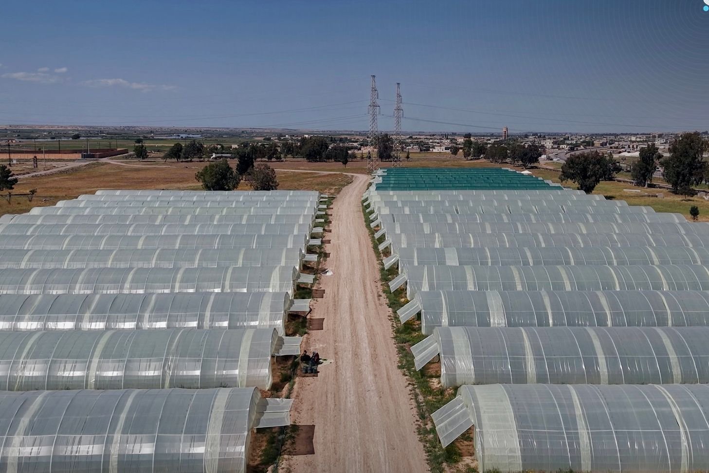 Syrie : 175 000 serres en exploitation, Tartous en tête du secteur agricole