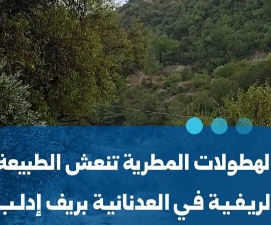 Renaissance de la nature dans le village d&rsquo;Al-Adnaniya après les pluies