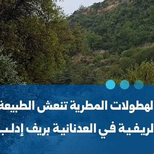 Renaissance de la nature dans le village d&rsquo;Al-Adnaniya après les pluies