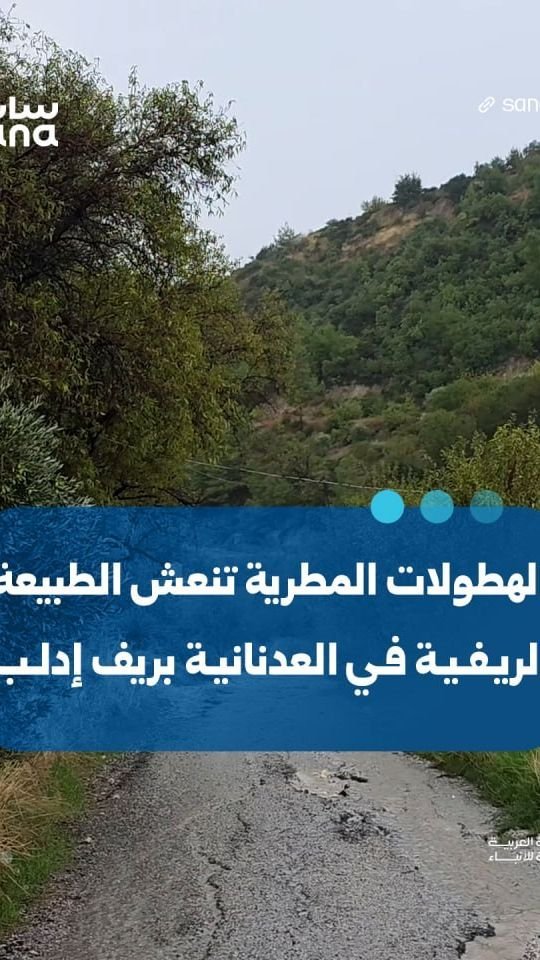 Renaissance de la nature dans le village d&rsquo;Al-Adnaniya après les pluies